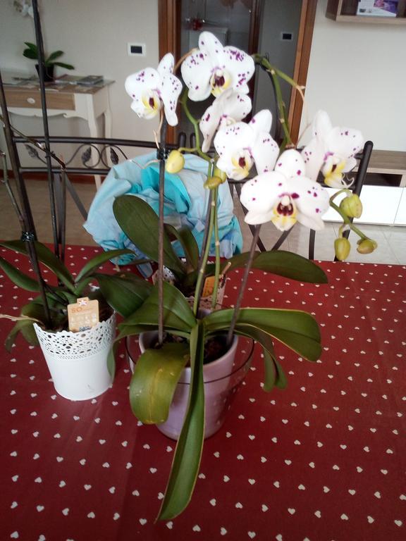 Bed and Breakfast L'Orchidea Di Ale Tivoli Terme Zewnętrze zdjęcie