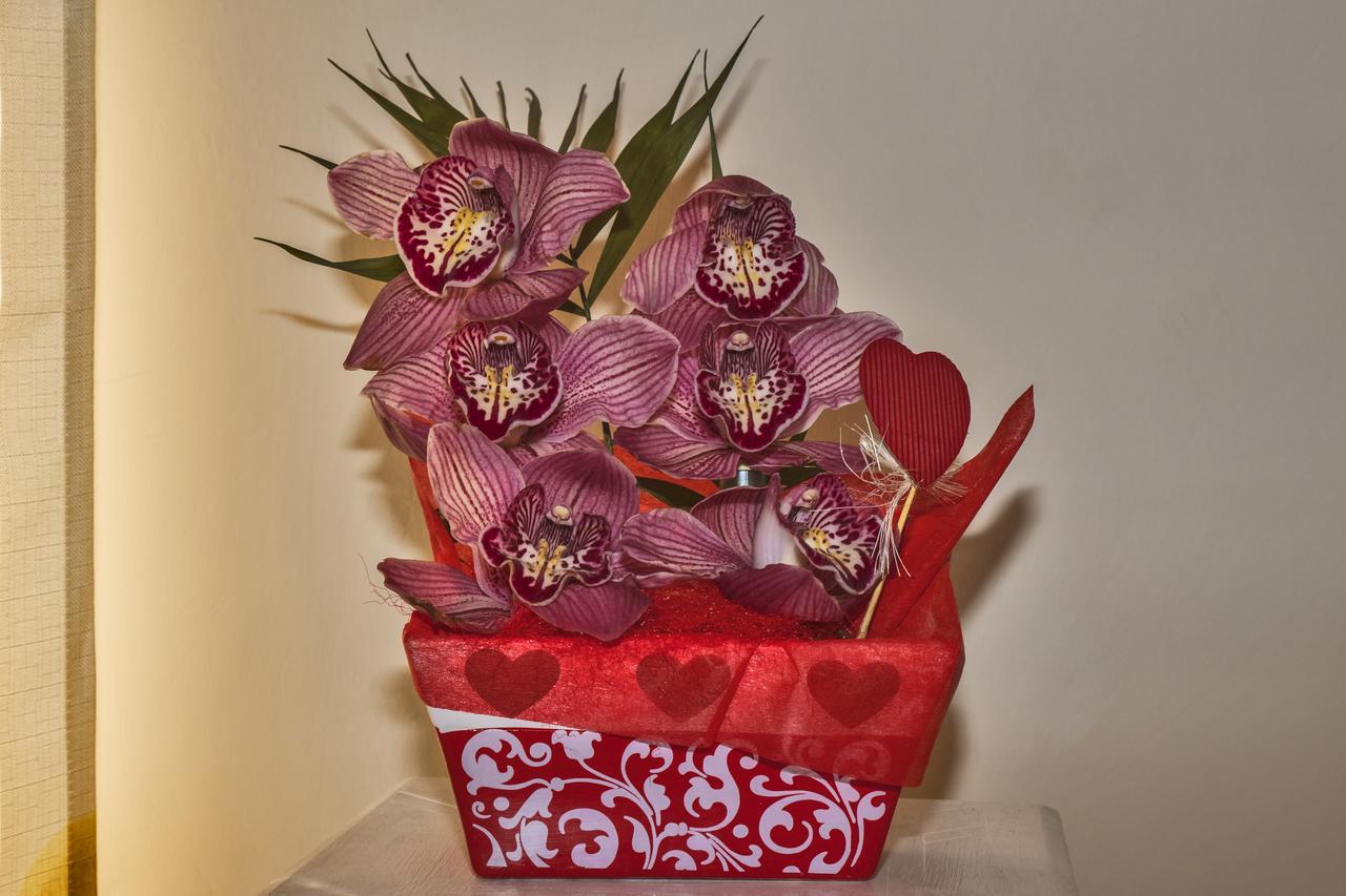 Bed and Breakfast L'Orchidea Di Ale Tivoli Terme Zewnętrze zdjęcie
